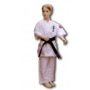 Shinkyokushin Karategi Standard (Kumite)